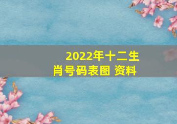 2022年十二生肖号码表图 资料